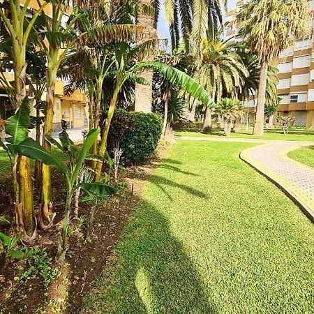 Apartamento The Palm Apartment *