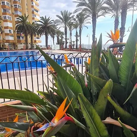 Apartamento The Palm Apartment Malaga